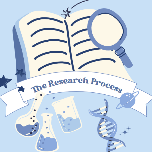 The Research Process