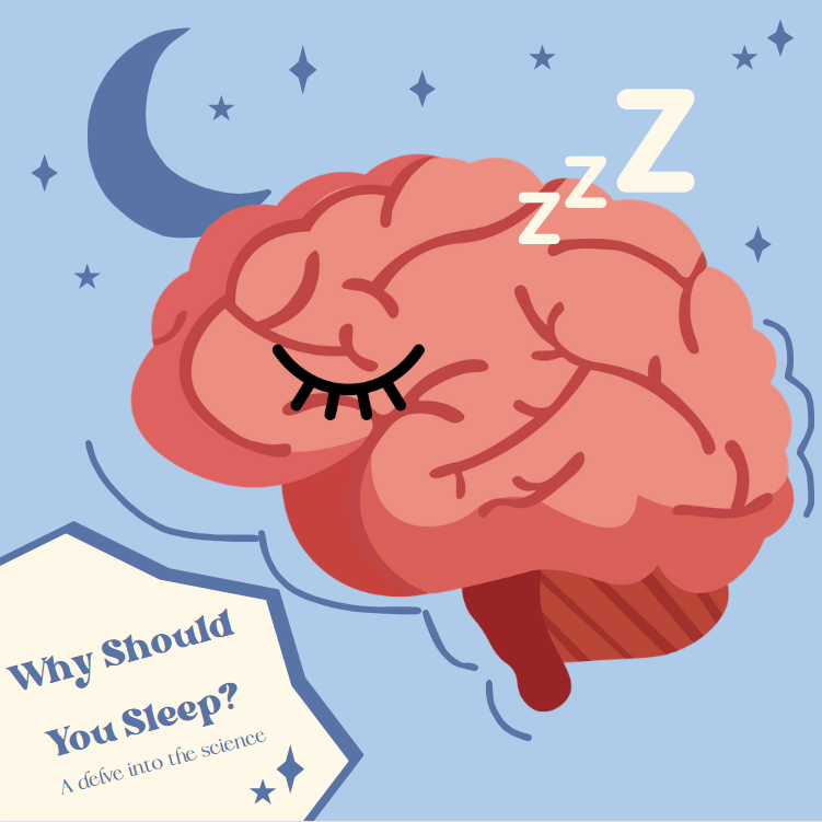 Why Should You Sleep?